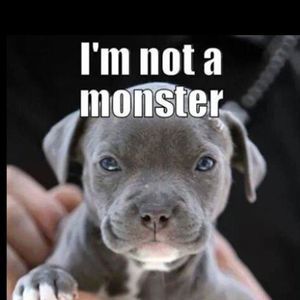 Meet your Posher, Rafael